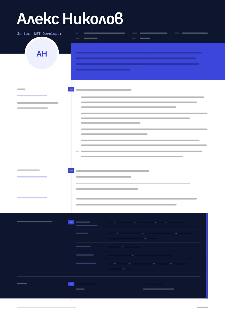 Professional CV of a Junior .NET Developer