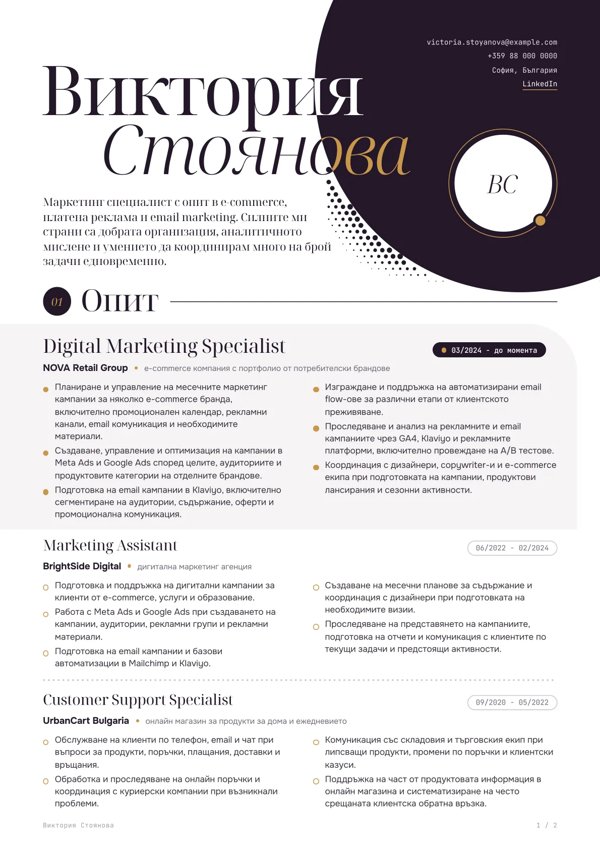 Professional CV of a Digital Marketing Specialist, made by APPLYNUE